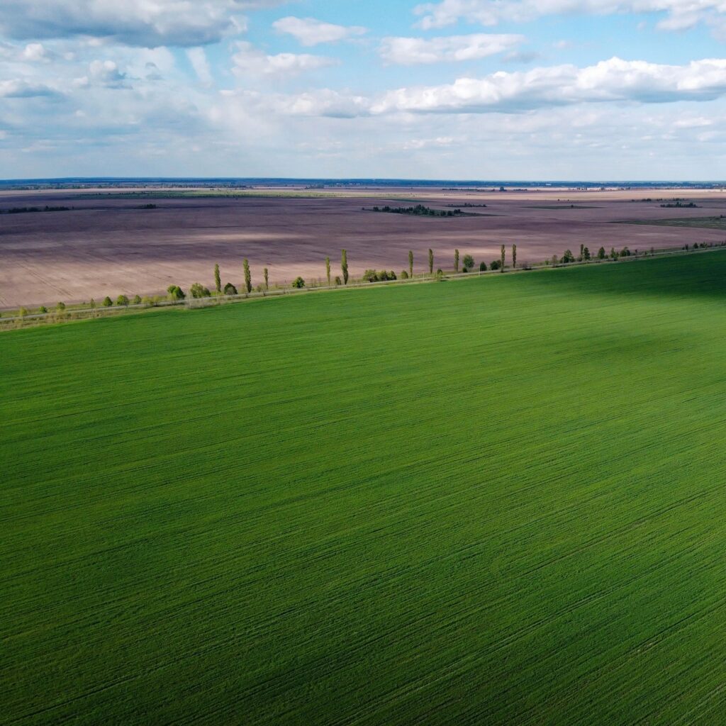 A dry irrigation canal in a sown field, aerial view. Farmland landscape.