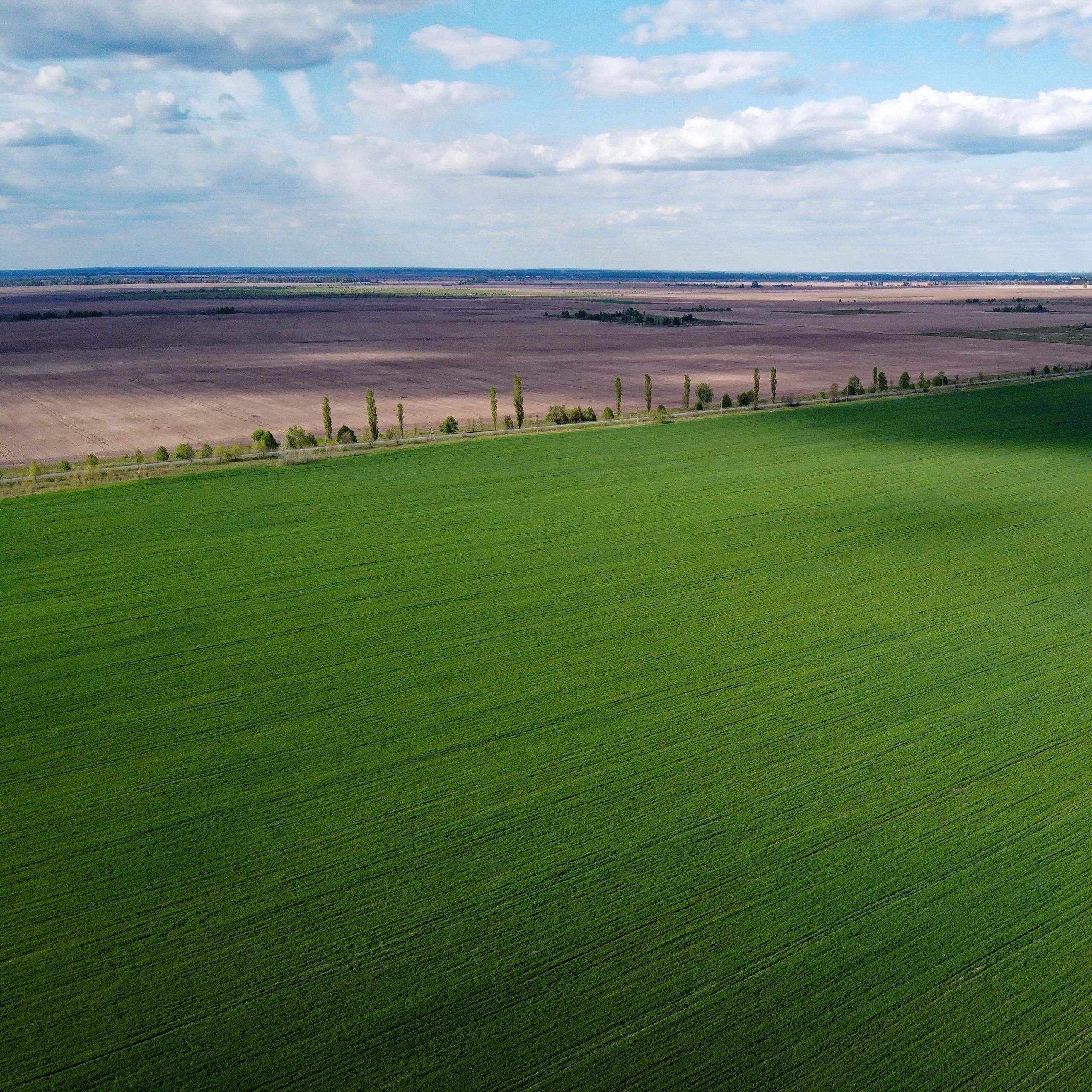 A dry irrigation canal in a sown field, aerial view. Farmland landscape.